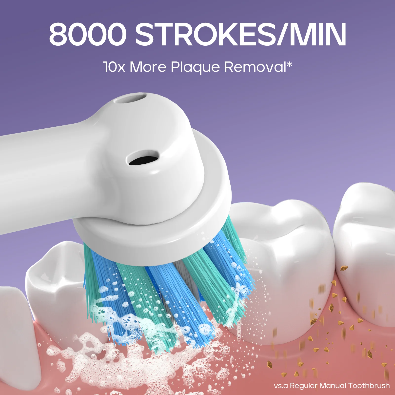 Seago Adult Customized Automatic Type-C Charging Waterproof Multi-function Rotating Electric Toothbrush With 8000 Strokes/Min