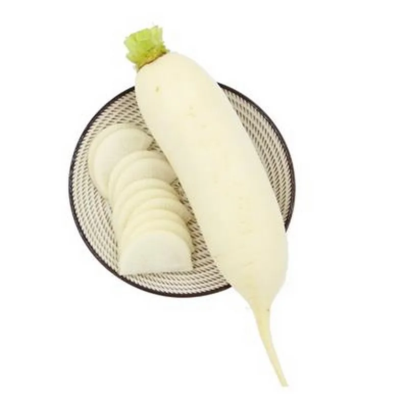 Wholesale price daikon radish vegetable store for supermarket