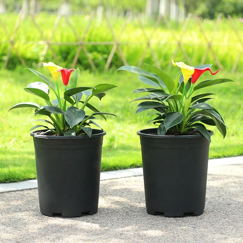 houseplant plant pot bulbs plant pots sets large plant pot stand wheel