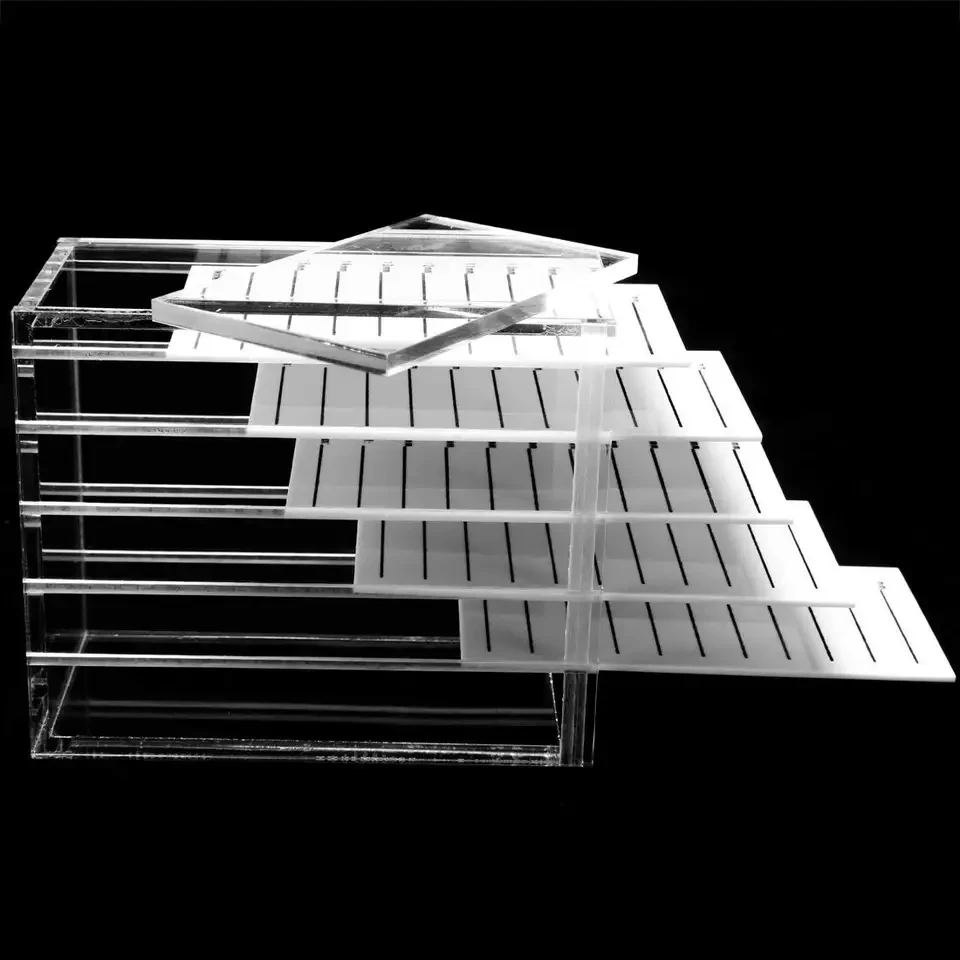 Good Selling Cardboard Packaging Case Private Label Custom With Logo Eyelash Coloured Boxes And Tools