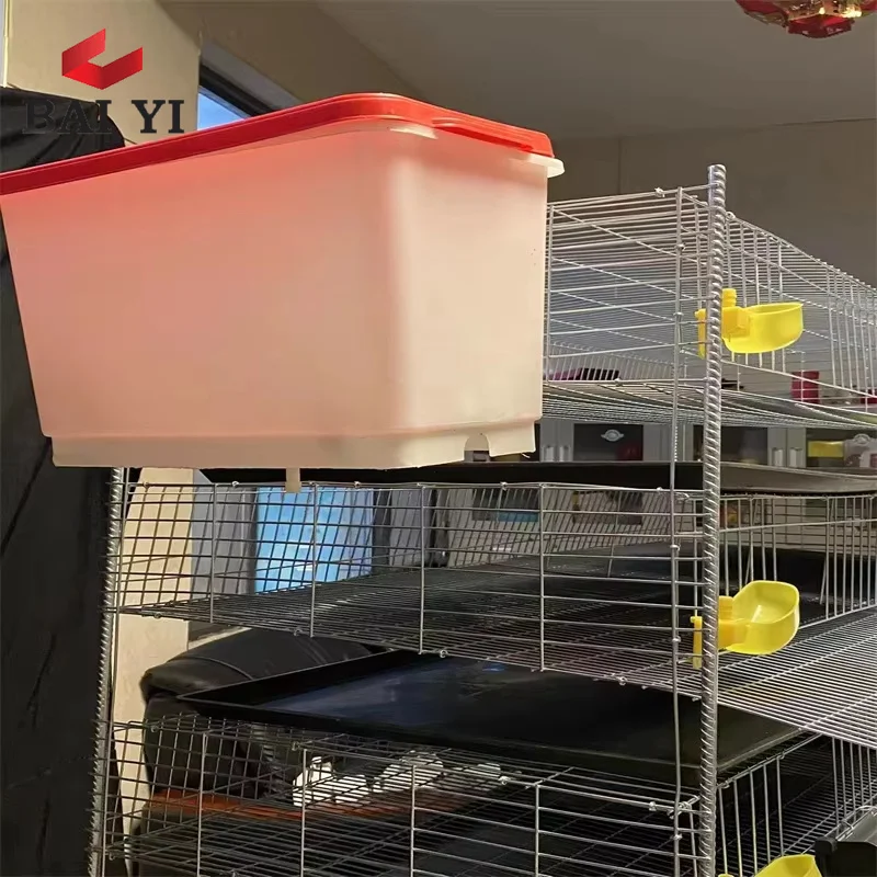 Poultry Shed Galvanized Wire Mesh Cages of Quails