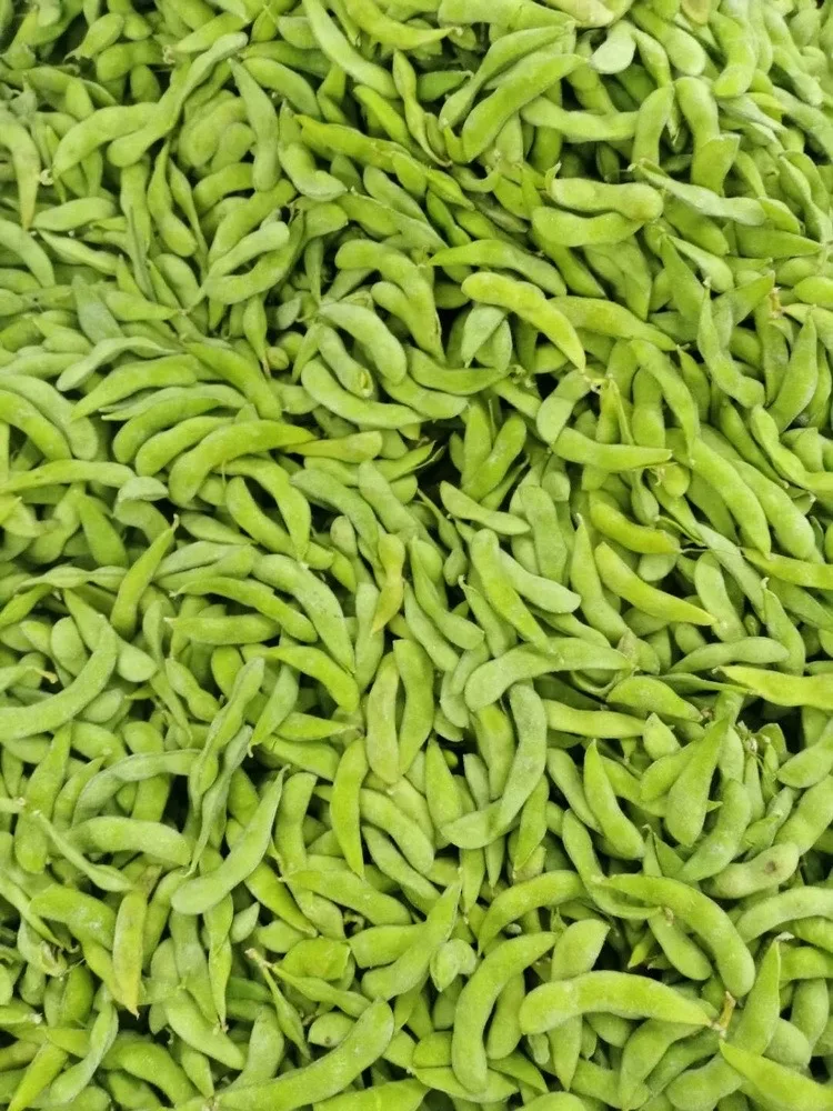 FROZEN VEGETABLES SALTED EDAMAME EXPORTER FROM CHINA