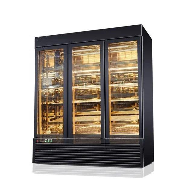Steak Beef Dry Ager Fridge with electric control and Compressor cabinet