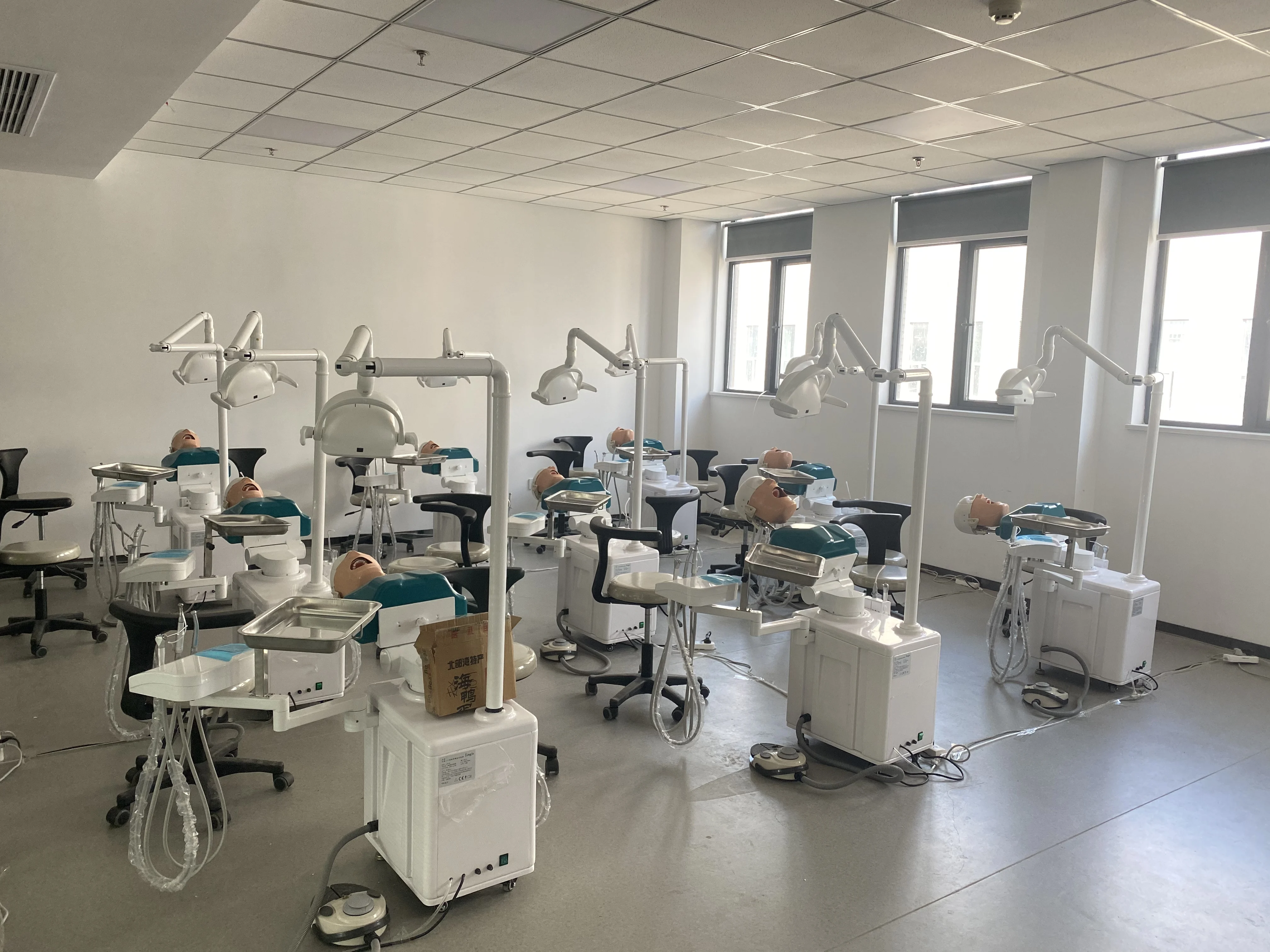 Dental Simulator Manikin Phantom Head Model with 360-Degree Adjustment Resin Teeth Plastic Metal Steel Training Model