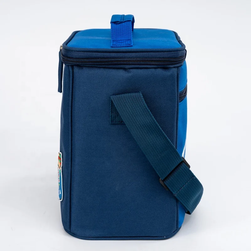 Insulated Lunch Box  Bag Small Cooler Thermal Meal  lunchbox for Girls Boys School Picnics