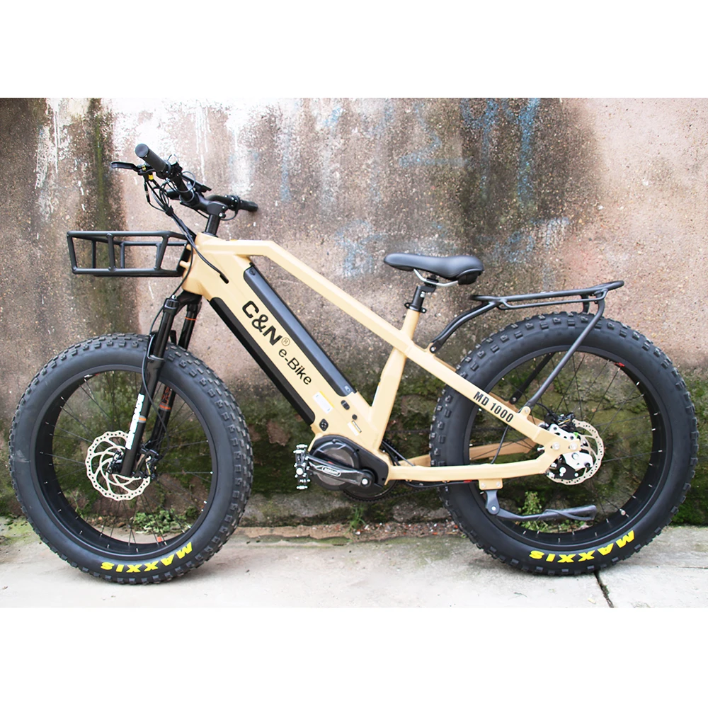 Rohloff 14 speed hub High Power Electric Bike Dirt Electric Bicycle Offroad Big Tire Mountain Bike with dual battery