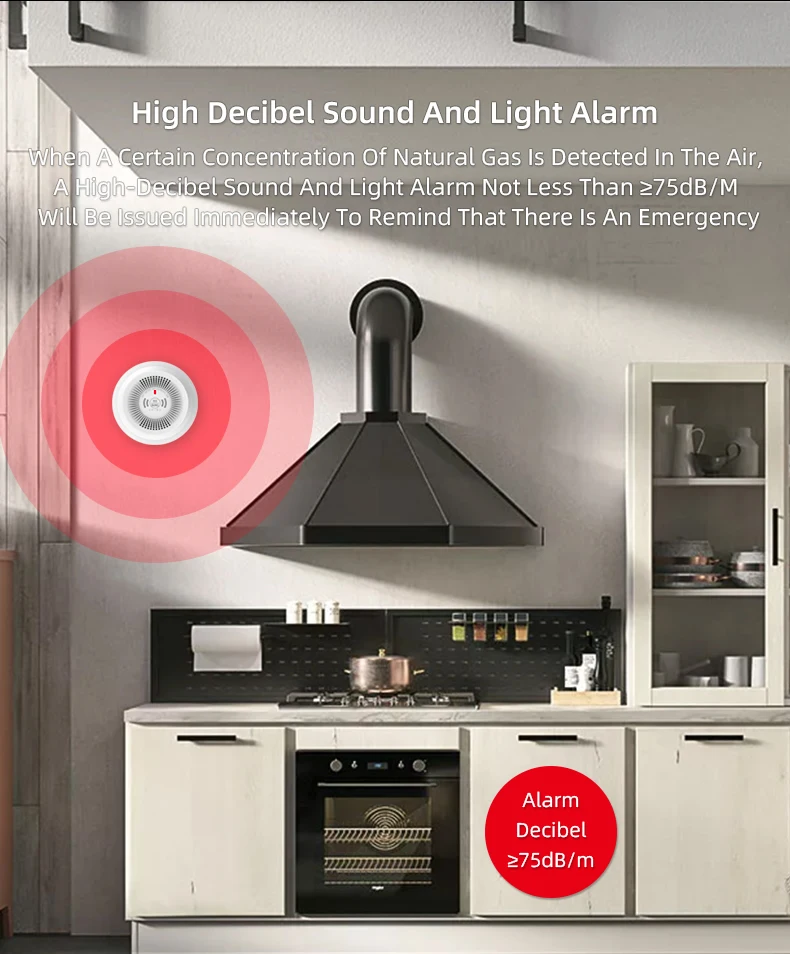 gas alarm