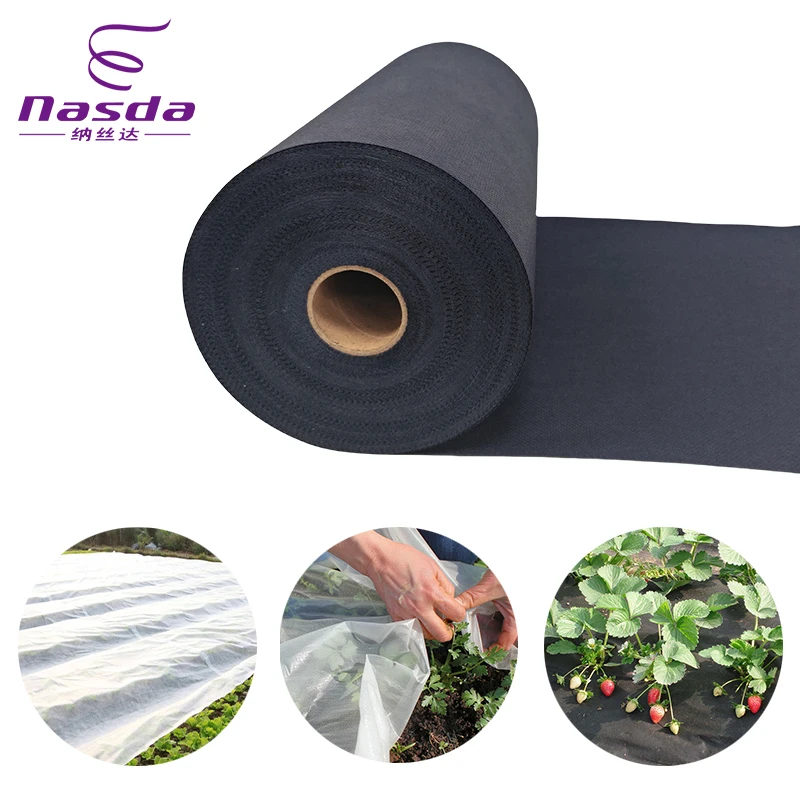 China Manufacture Water Absorption Breathability Proof UV Spunbond PP Nonwoven Fabric Ground Cover For Agriculture
