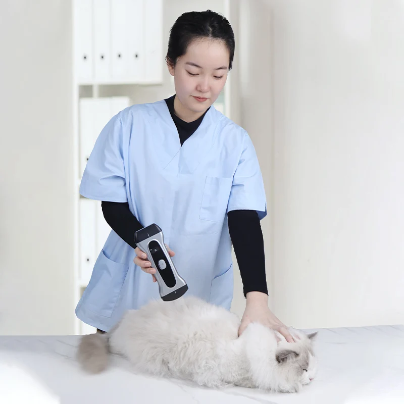 Yonker wifi wireless mini Double probe cow pet Vet handheld pregnancy scanner portable ultrasound machine veterinary for animals