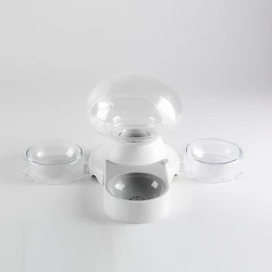 Snail Shaped 2.8L Pet Automatic Waterer and Feeder Bowl for Cats and Dogs