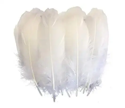 
wholesale white washed duck down feather 
