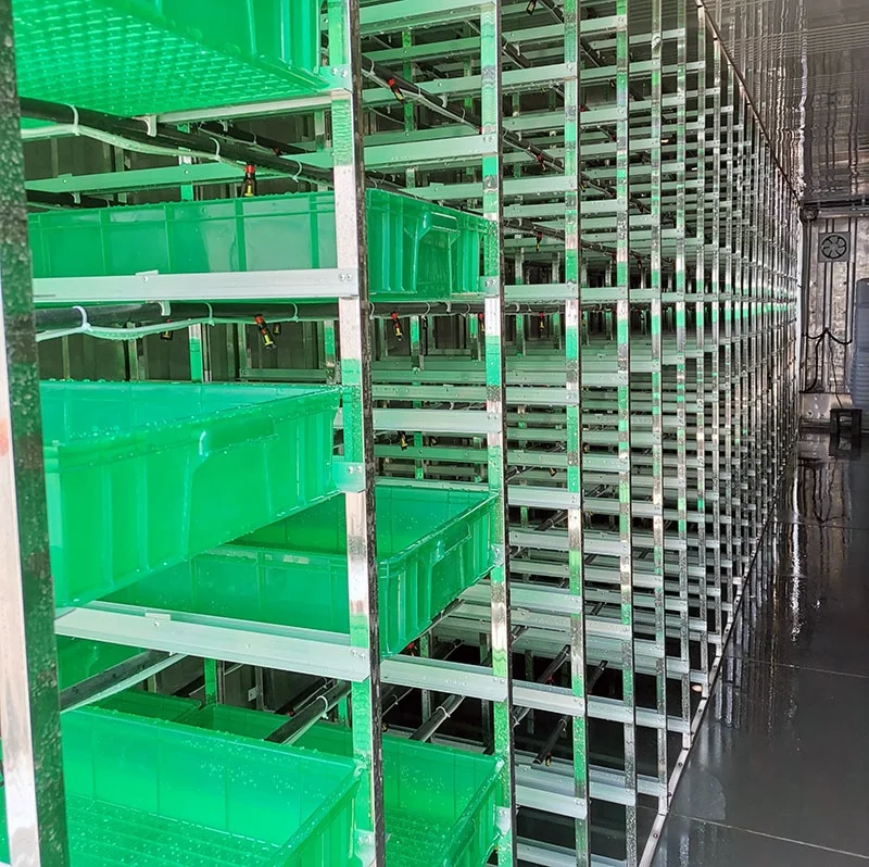Container Farm Hydroponic Forage Sprout Chamber For Cow