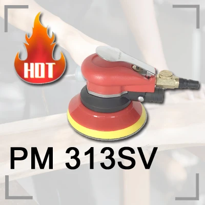pm 313sv.jpg