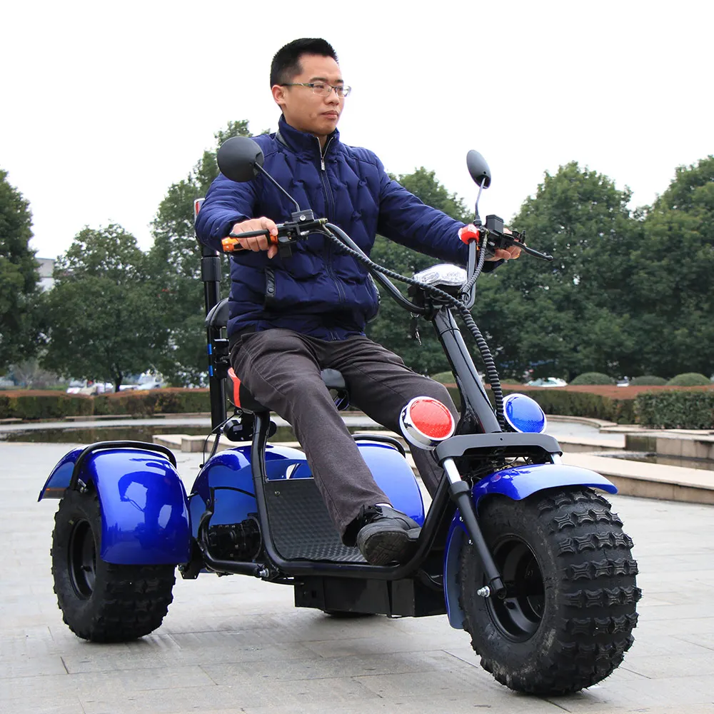 3 wheel trike CE citycoco electric electric scooter  for adult passenger and cargo carry  Electric tricycle