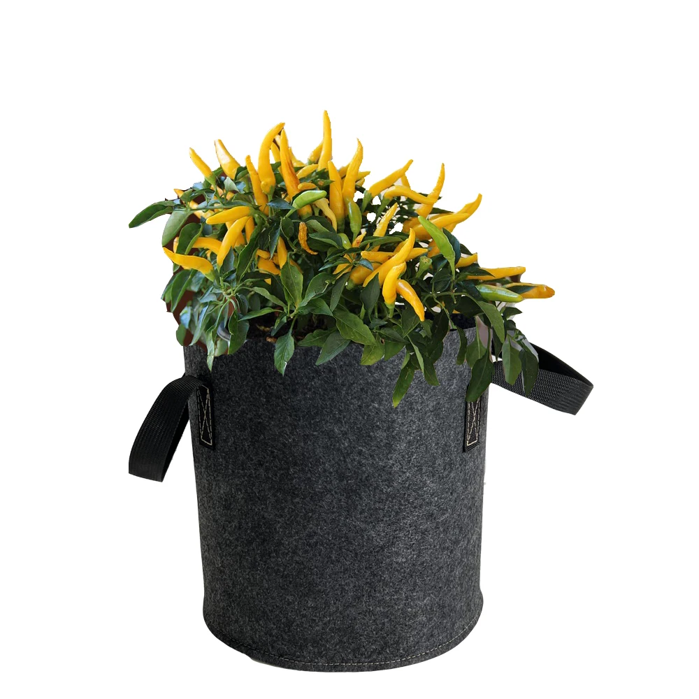 Hot Sale 1 3 5 7 10 20 30 50 100 200 Gallon Planter Grow Bags Aeration Pots Garden Potato Felt Fabric Plant Grow Bags