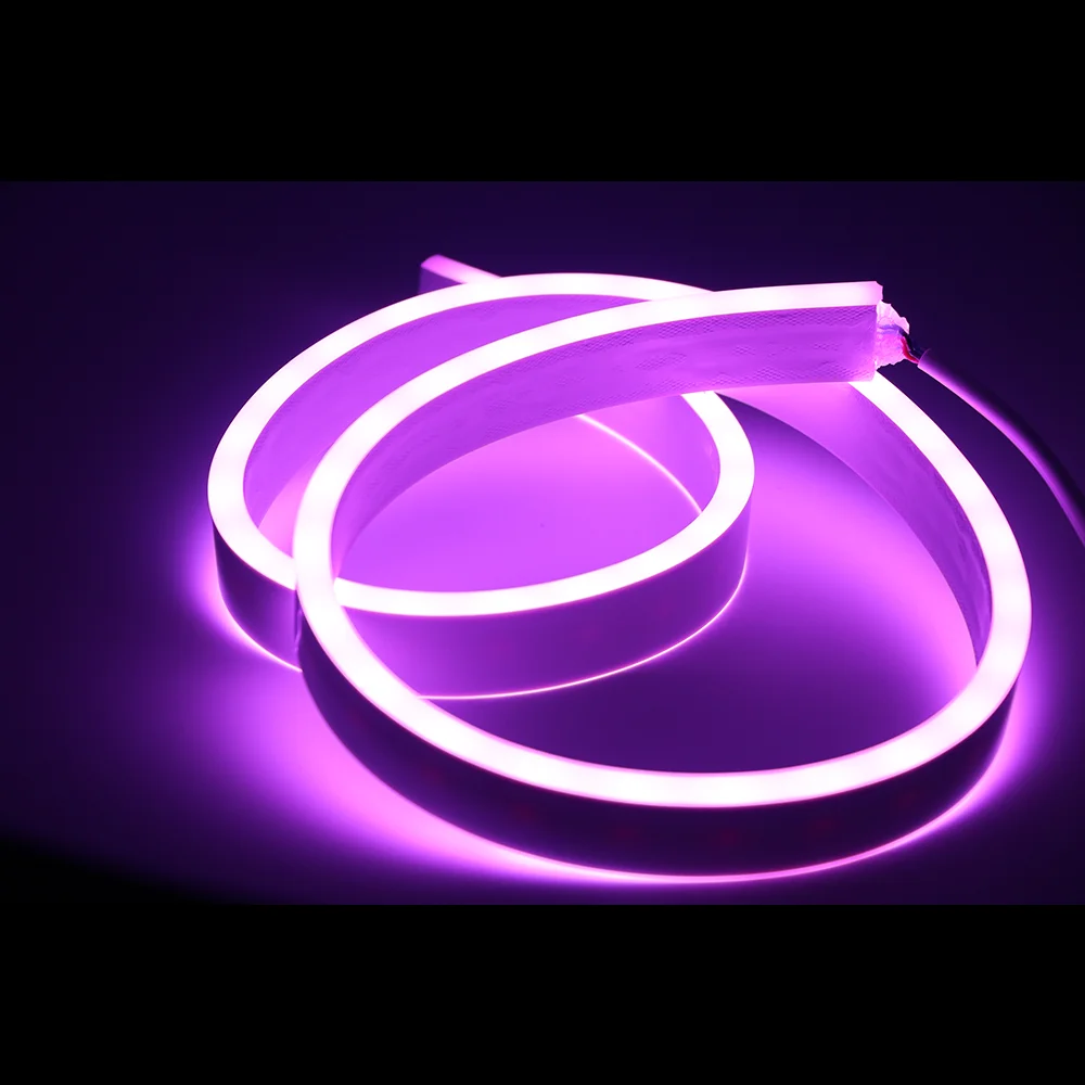 Dual Side Emitting 12v 24v IP65 2835 5050 RGB Custom Car Pool Decoration Flexible Pure Silicone 1cm cut 10mm Neon Strip LED