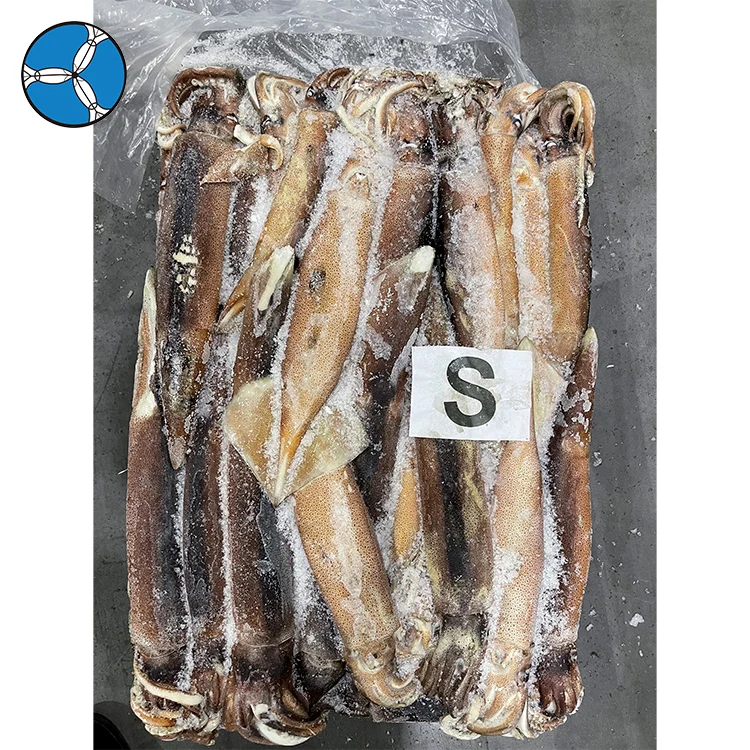 Высокое качество оптовая цена морепродукты большой размер кальмар Аргентина замороженные 800/900 Illex