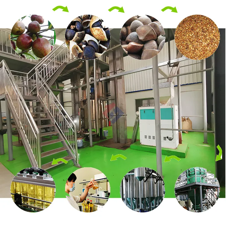 10ton 20 ton Tea seed oil press and refinery production line tea tree oil extraction machine
