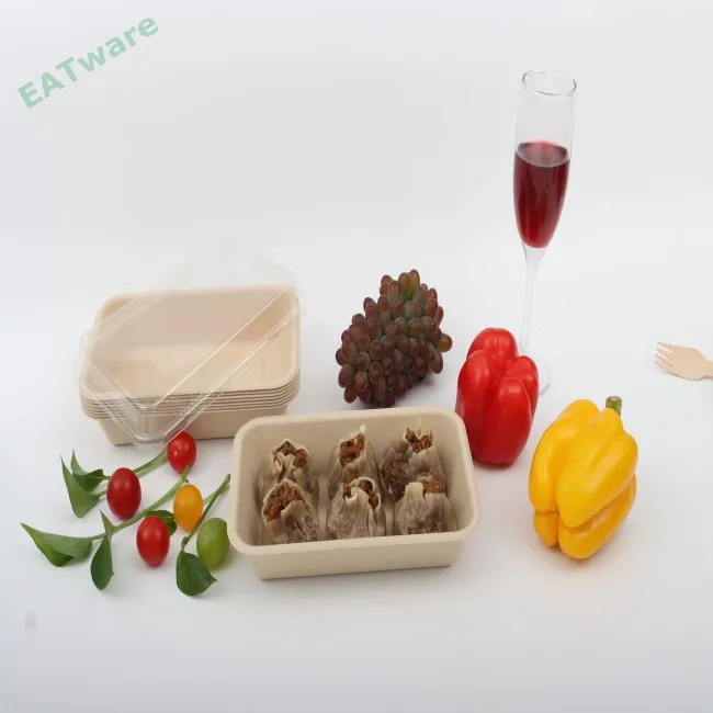 Factory Wholesale Customized Green eco friendly food tray disposable bamboo food tray biodegradable bamboo tray