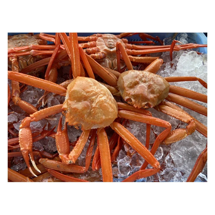  Замороженные или охлажденные красные морепродукты из