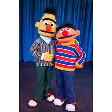 professional factory price custom made Adult Sesame Street Cartoon Character Mascot Bert & Ernie Costume