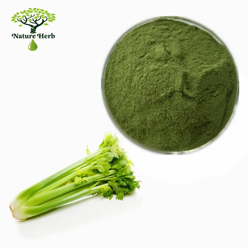Best Quality Natural Food Additives Dehydrated Vegetable Celery Powder
