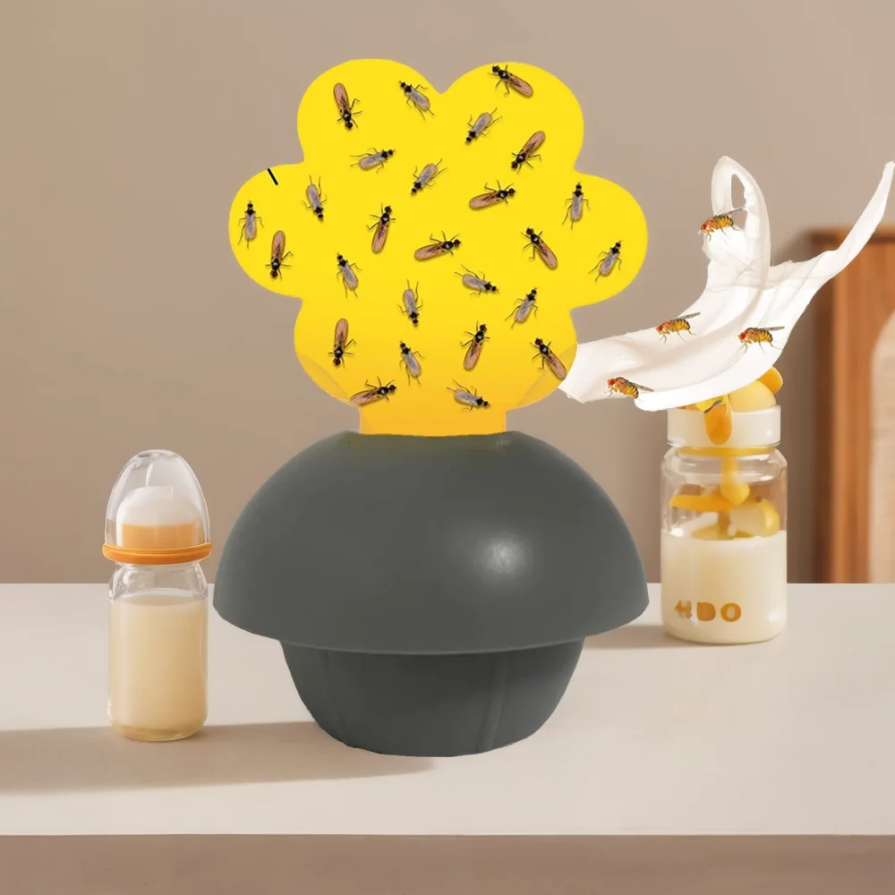 Indoor and outdoor use fruit fly trap