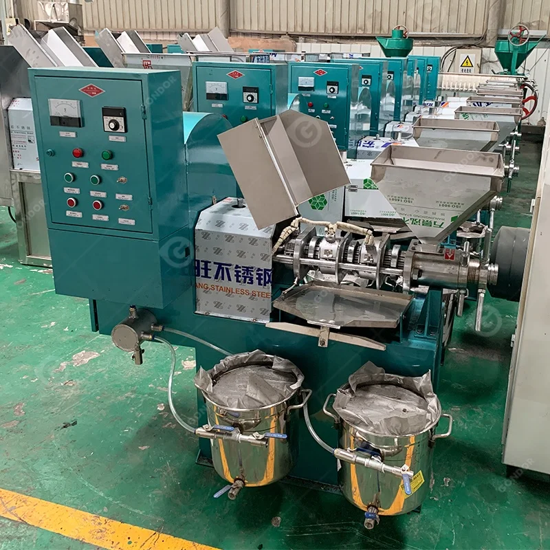 Comercial Coconut Soybean Olive Master Virgin Big Cold Press Oil Presser Production Machine Made in China