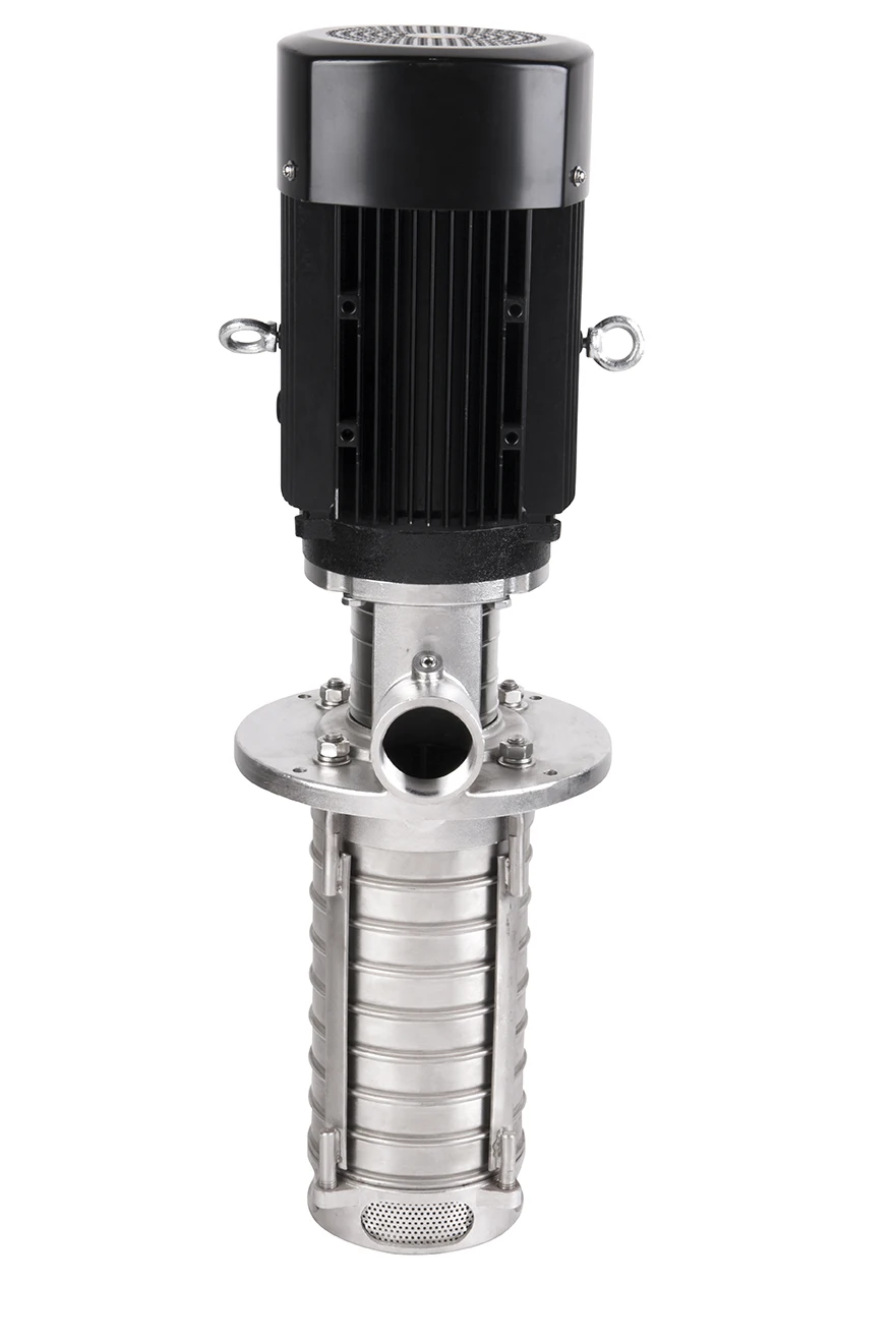 Electric Cooling Machine Oil Pump High Pressure Stainless Steel Multistage Gear Pump Centrifugal Theory Motor Power Supply OEM