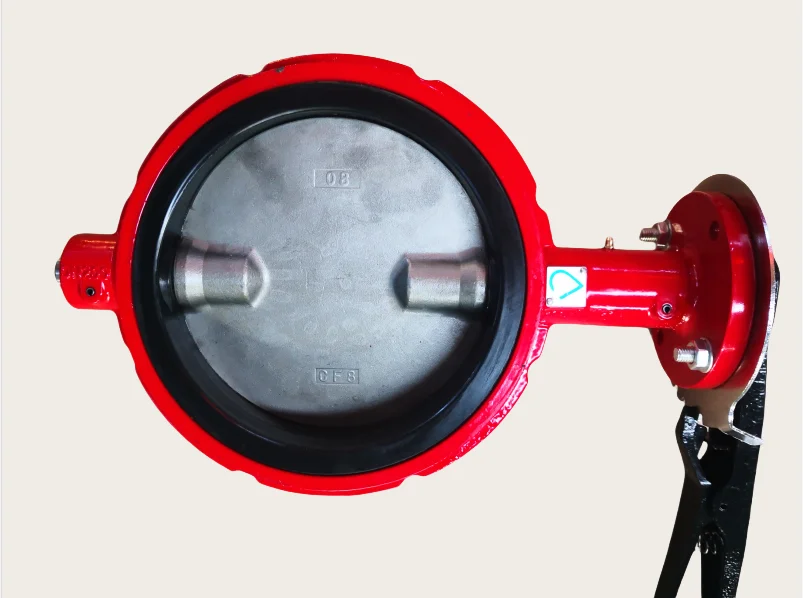 8 Inch ANSI CL150/ANSI125 Ductile Iron Ggg50 Red Color Wafer Type Butterfly Valve Suitable for American Market