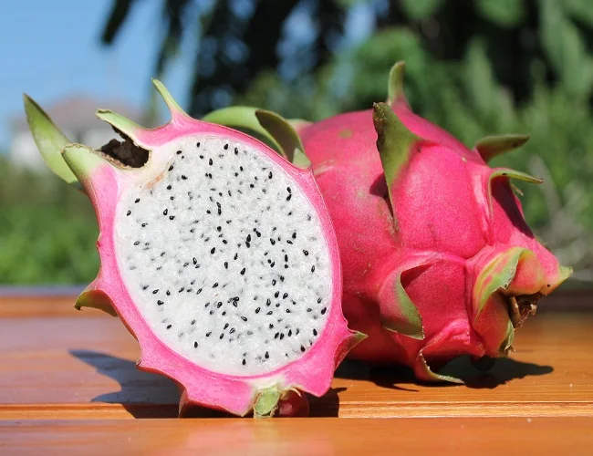 
Best Quality Dragon fruit 