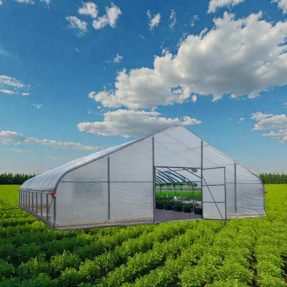 Eco-Friendly Outdoor Use Easily Assembled Garden Greenhouse for Plant Growth Rot-Proof Coverage Metal Frame Greenhouse