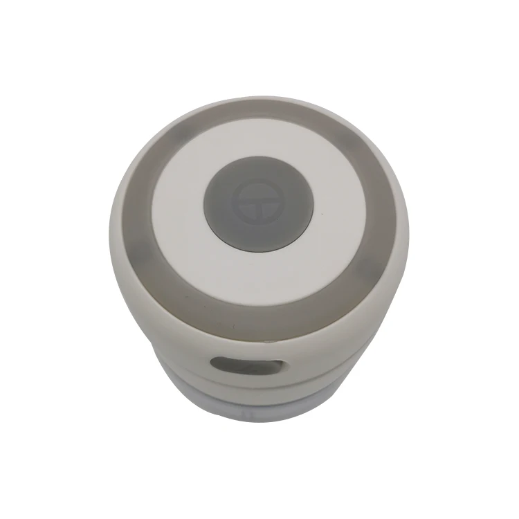 Factory directly wholesale portable cordless mini electric garlic chopper machine