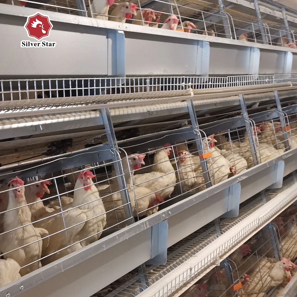 Система клетки для кур с силосом для корма