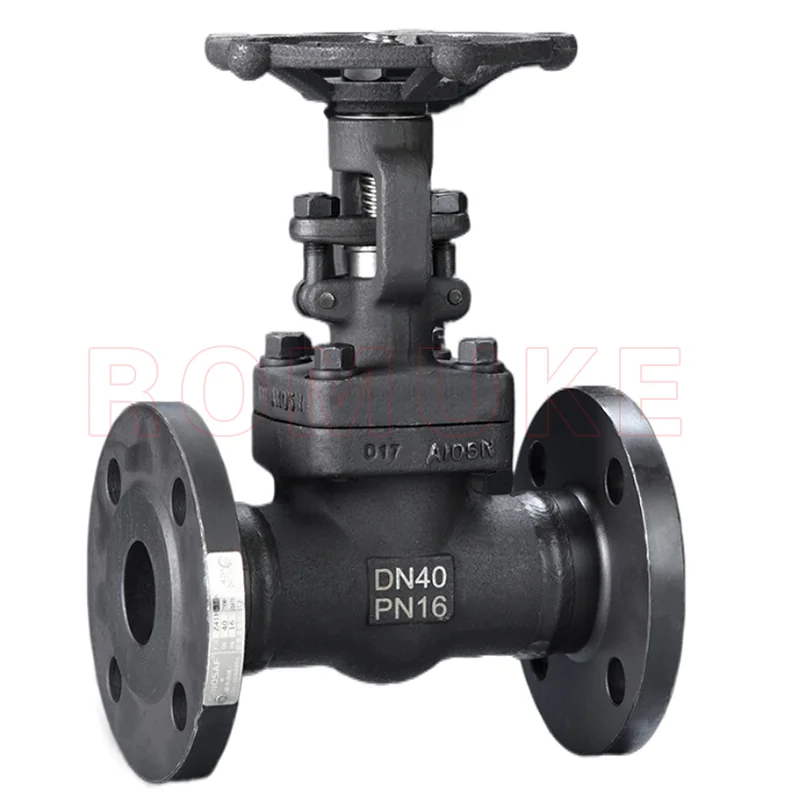 Z41H/Y-100C  GB Standard Forged Steel Flange Manual Gate Valve