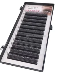 Factory Price Eyelash extensions W shape eyelash lash eyelash extensions 0.07mm c D curl with private label