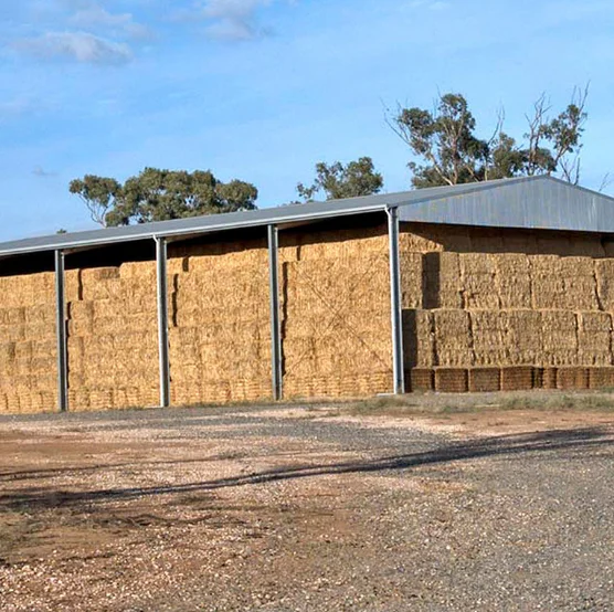 Processing Prefabricated Steel Structure Hay shed Barn Insulated Dog Kennel Shed Farm Warehouse shed construction