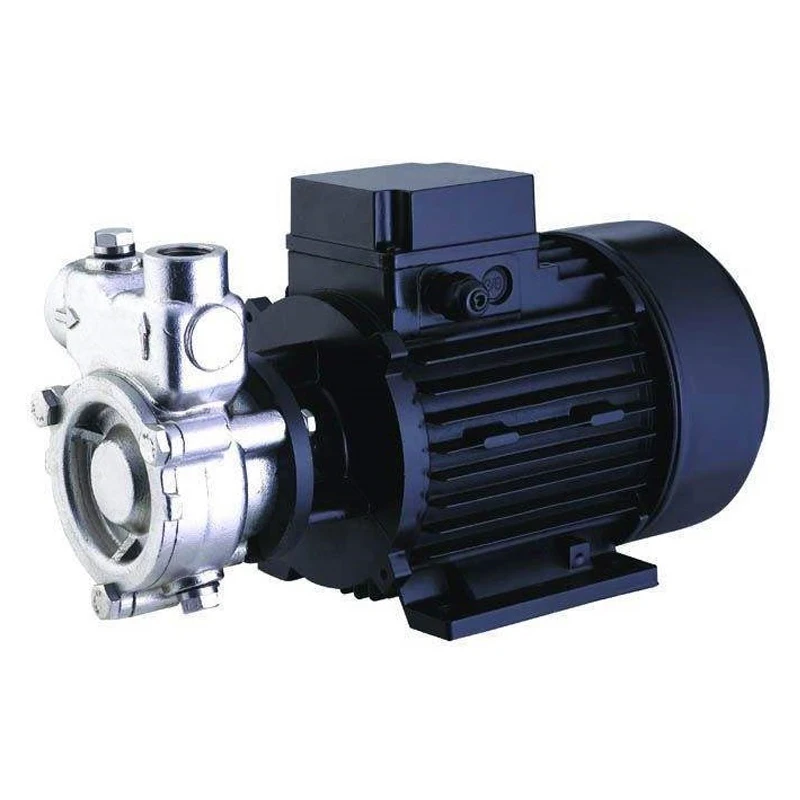 Jet Model 1~12T/hr Nano Bubble Water Generator Centrifugal Pump for Oxygen Ozone Gas-Liquid Mixing for Sewage Circulation
