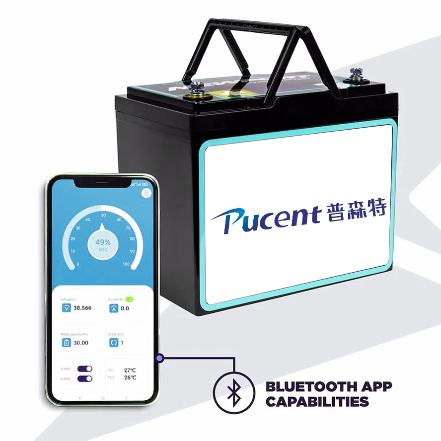 12v 24v 36v 48v 50ah Cheap Lifepo4 Batteries Vehicle Lithium Ion Battery 25ah 30ah 40ah BMS Battery Box Lifepo4