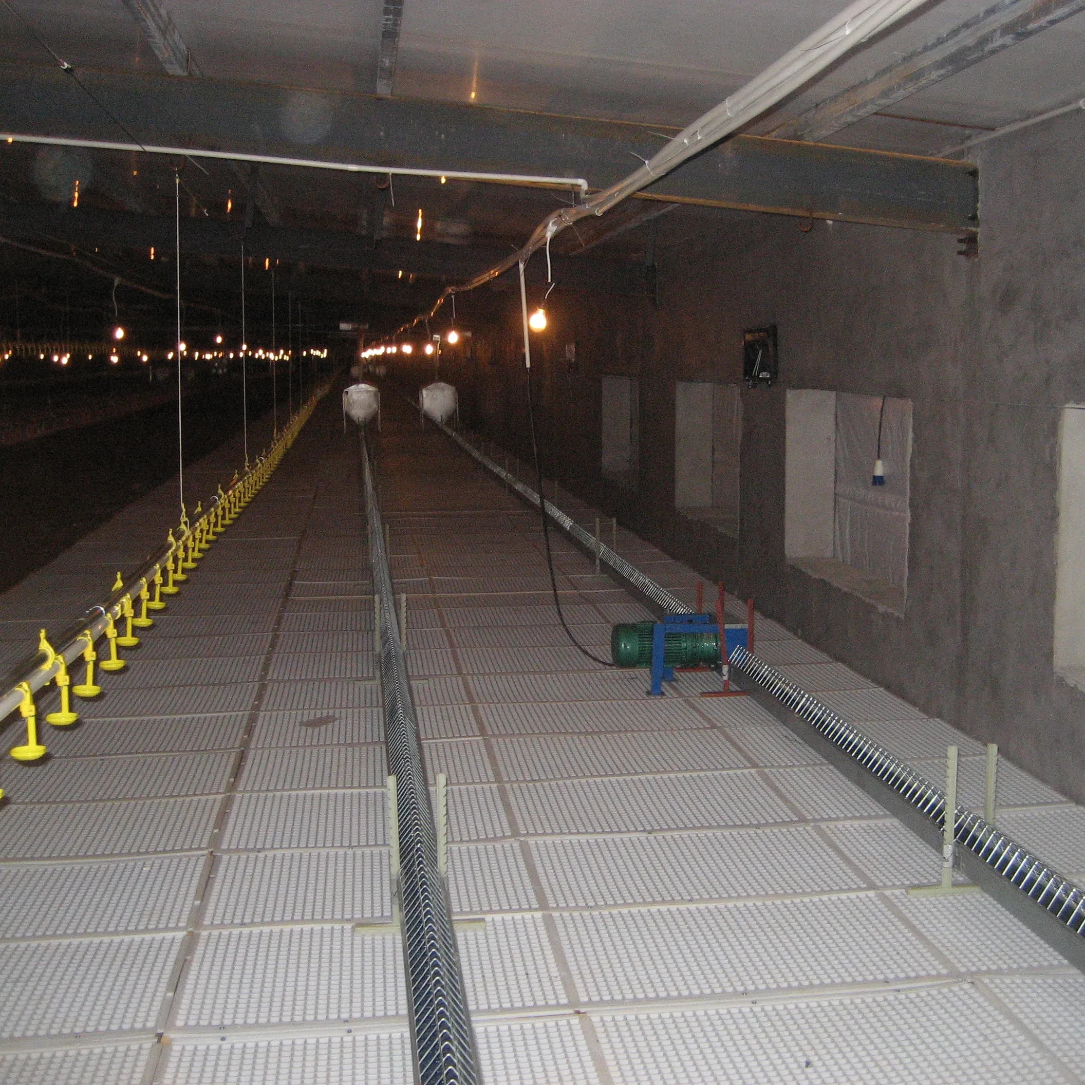 Factory direct sale chicken plastic slatted floor for poultry farming