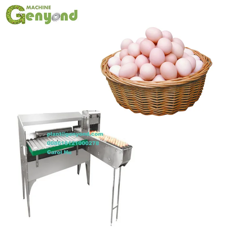5000 pcs per hour egg grading machine used