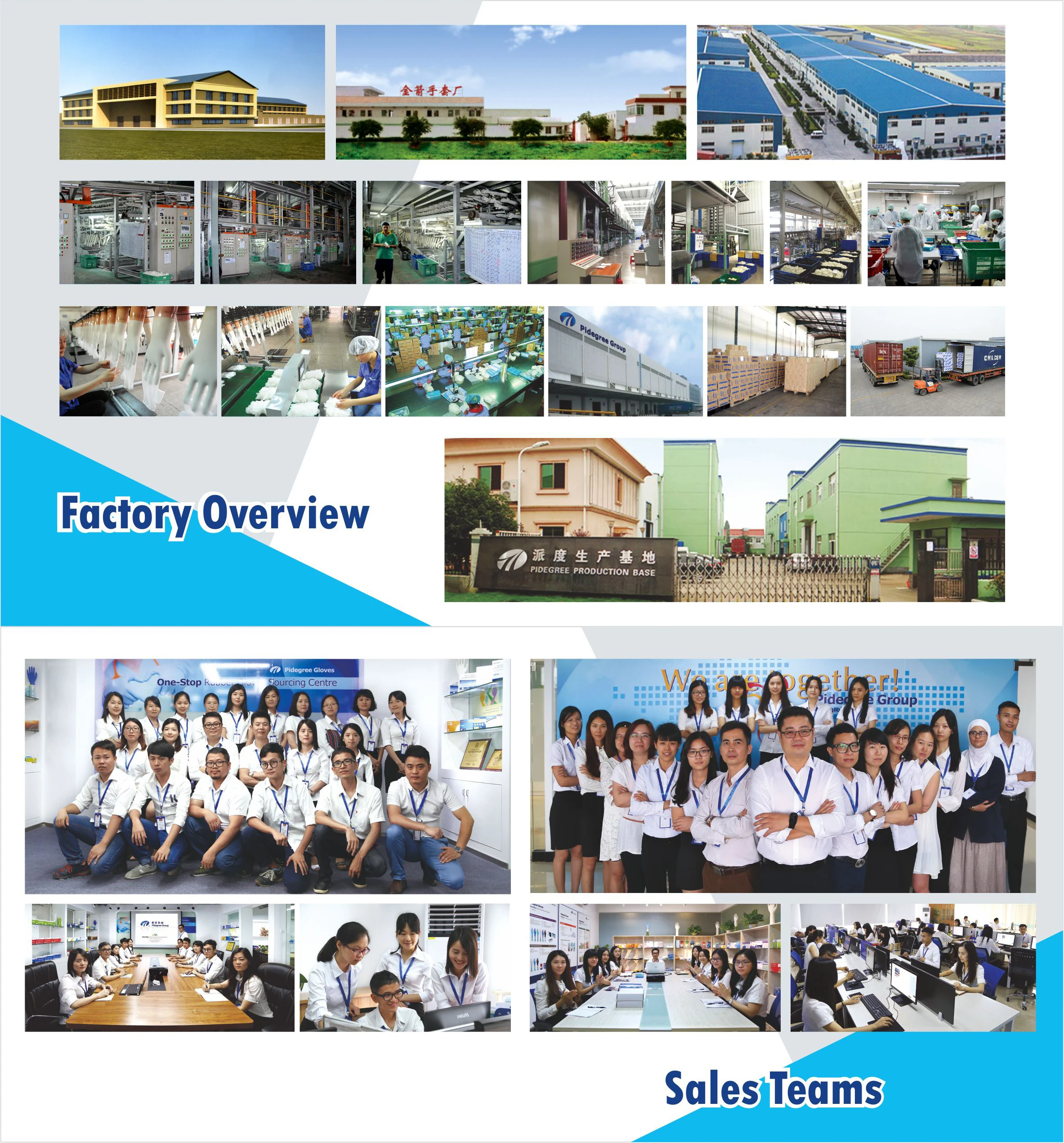 10 Mil Blue Latex Gloves Powder Free Thick Long Sleeve Hang Gloves Disposable Latex Exam Gloves Manufacturer
