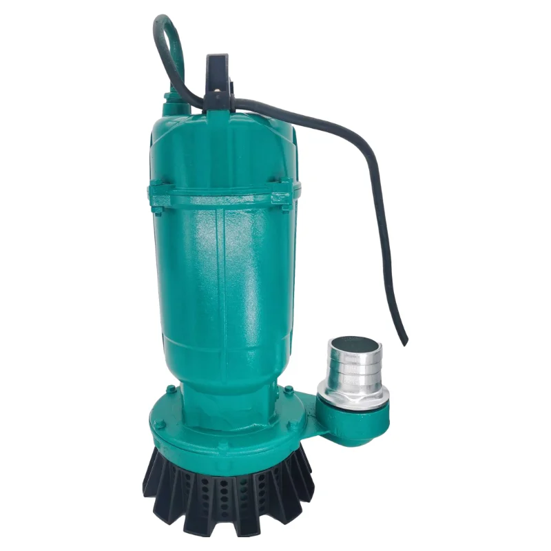 Best Price Irrigation Well Submersible Water Pump Small Weight 0.75kw 220v QDX Submersible Pump