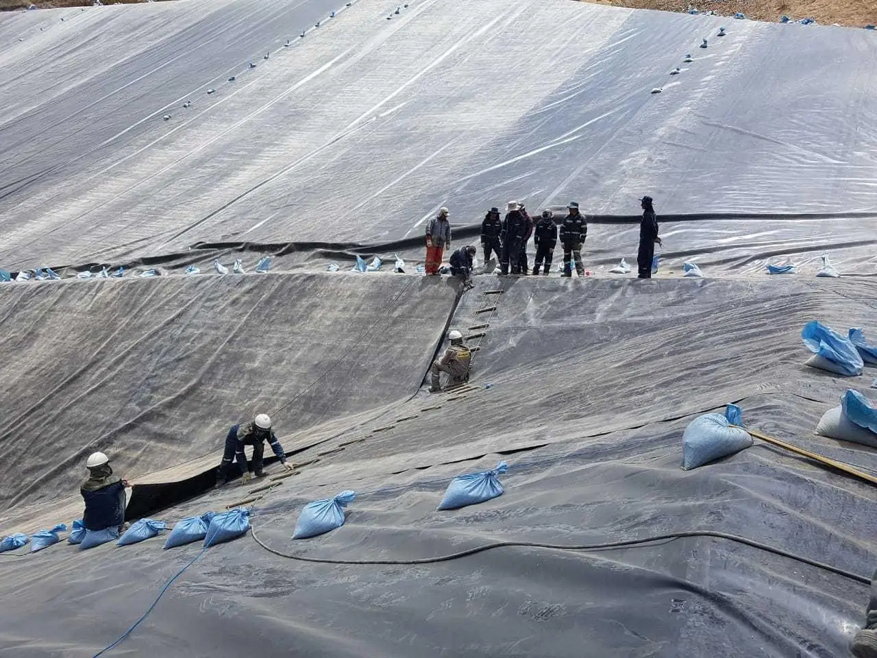 Бамбуковый корневой барьер hdpe ldpe eva геомембрана сельскохозяйственные вкладыши для пруда пластиковая крышка