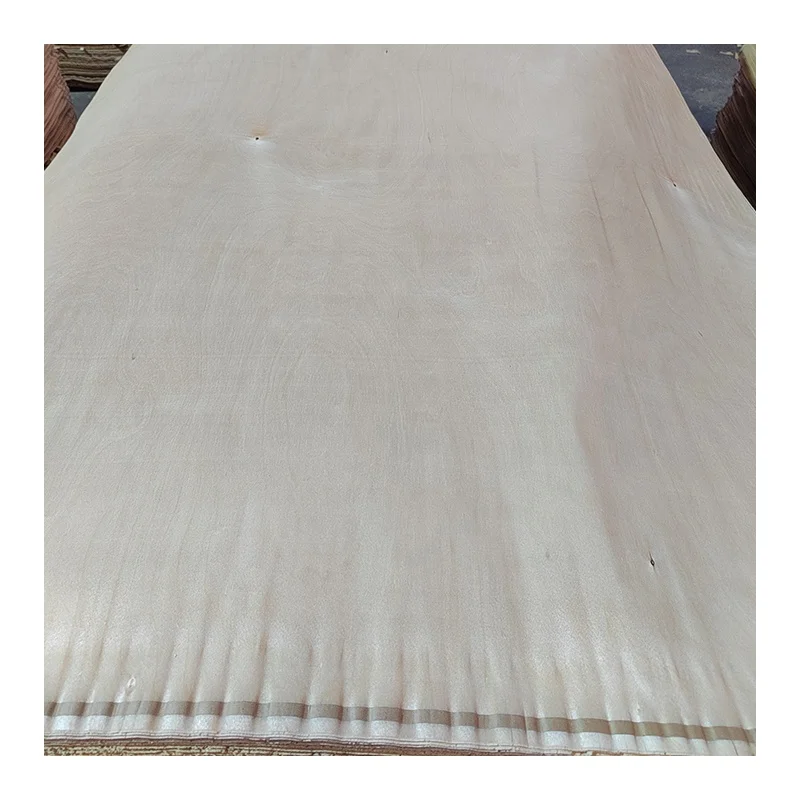 Rotary cut 0.3mm 0.5mm birch veneer birch wood face veneer for plywood