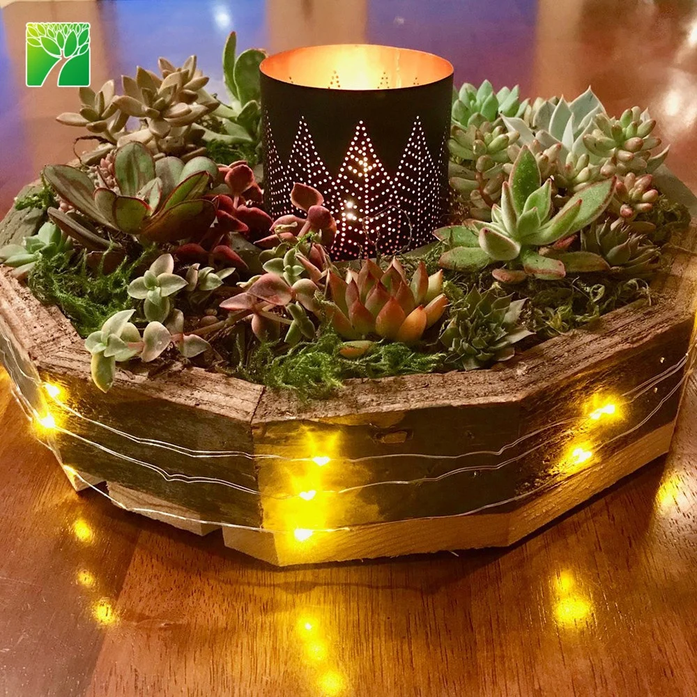 
Cheap wholesale garden DIY set wreath frame kit live succulent plants with wood pot 