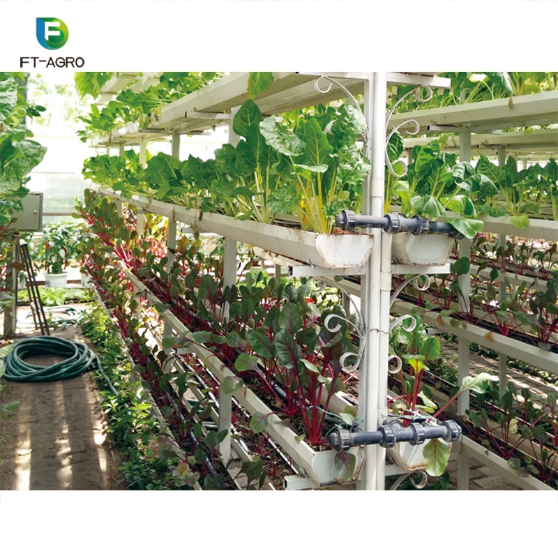 Гидропонная система водосточных желобов NFT с индивидуальным дизайном для