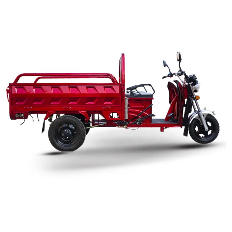 Лидер продаж Электрический транспортировщик EEC COC trike 60 В 1000 Вт грузовой квадрицикл трехколесный велосипед для взрослых