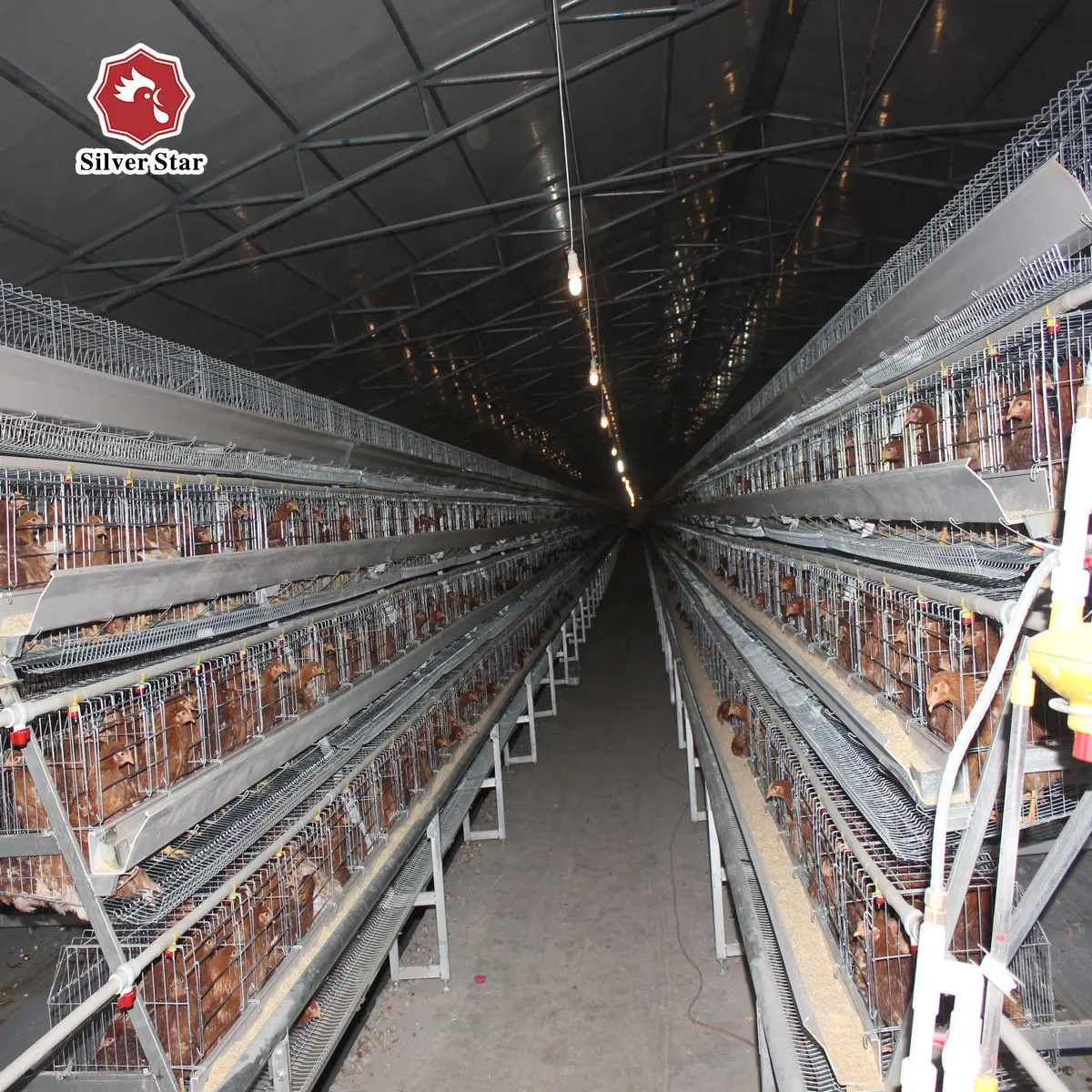 Semi Automatic Chicken Raising Equipment Layer Hens Cage System For Poultry Farm