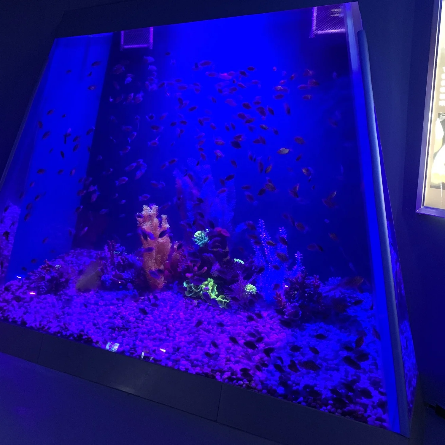 high quality acrylic glass aquarium factory